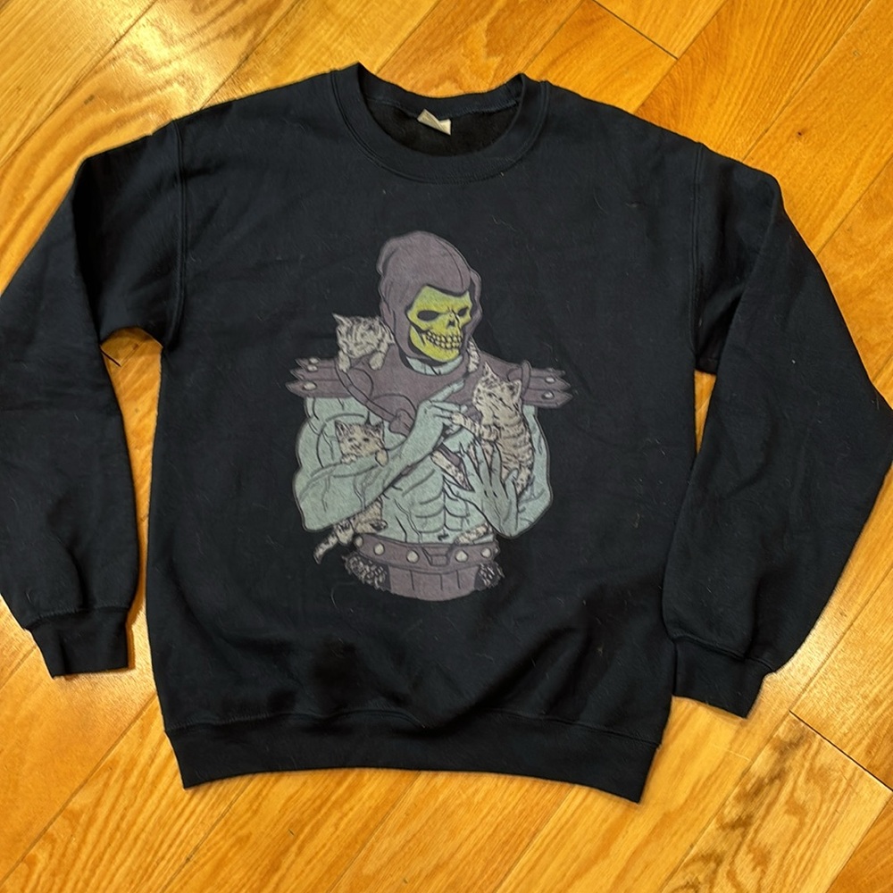 HE Man/Masters of the Universe Cute little Kitties sweatshirt
